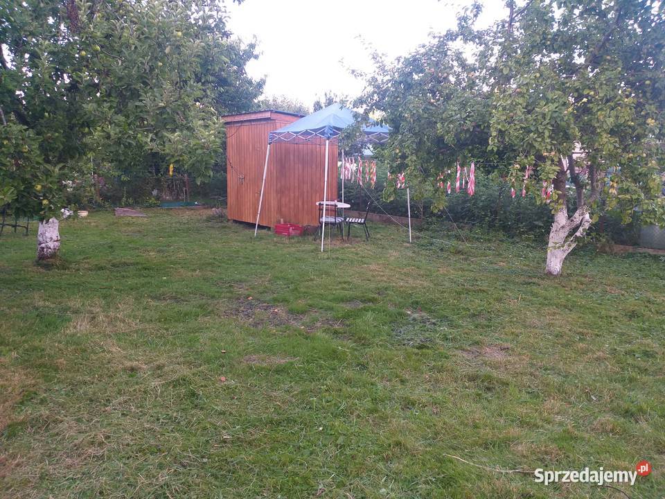 Działka ROD rekreacyjna Sprzedaż Koszalin sprzedam