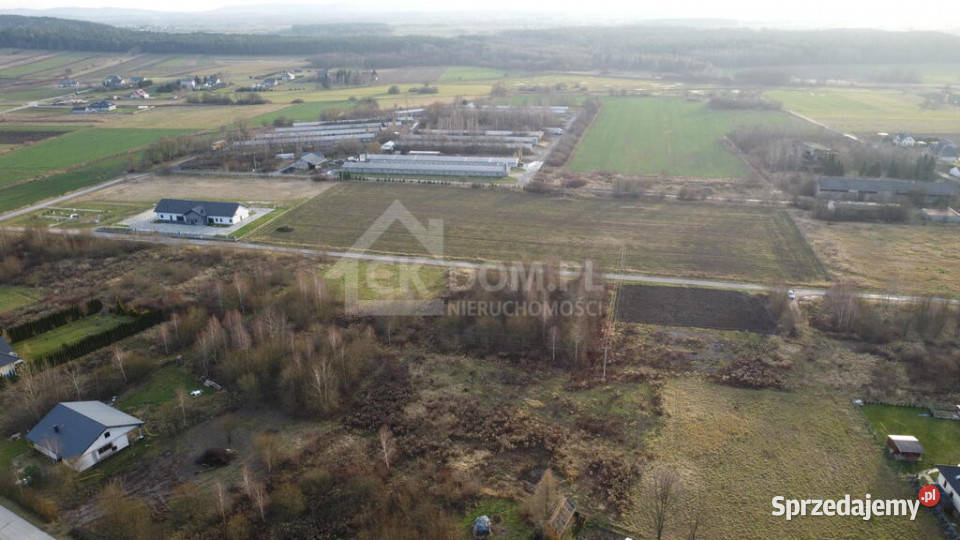 Działka budowalana 1448 m2 Oblęgorek gmStrawczyn