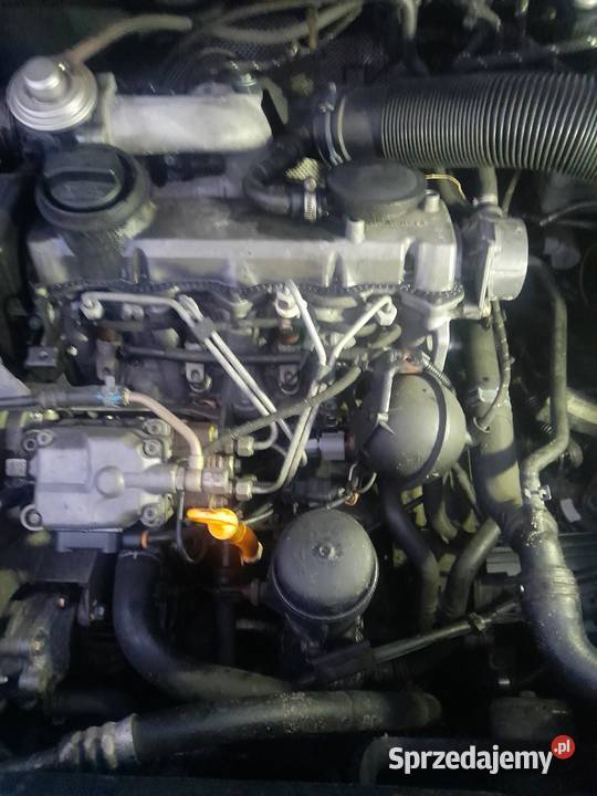 Skoda octavia silnik kpl 19 tdi świętokrzyskie