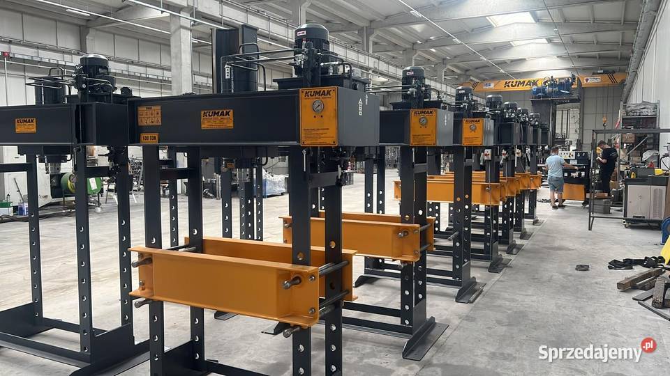 Prasa hydrauliczna 100t sprzedam