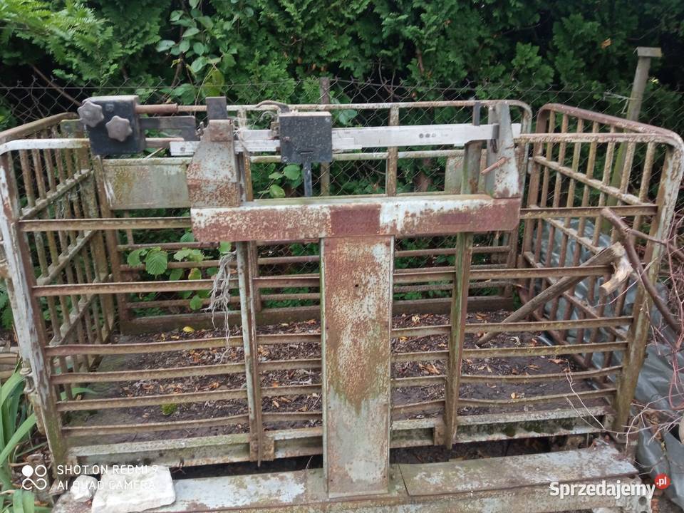 Waga duża inwentarzowa Babin