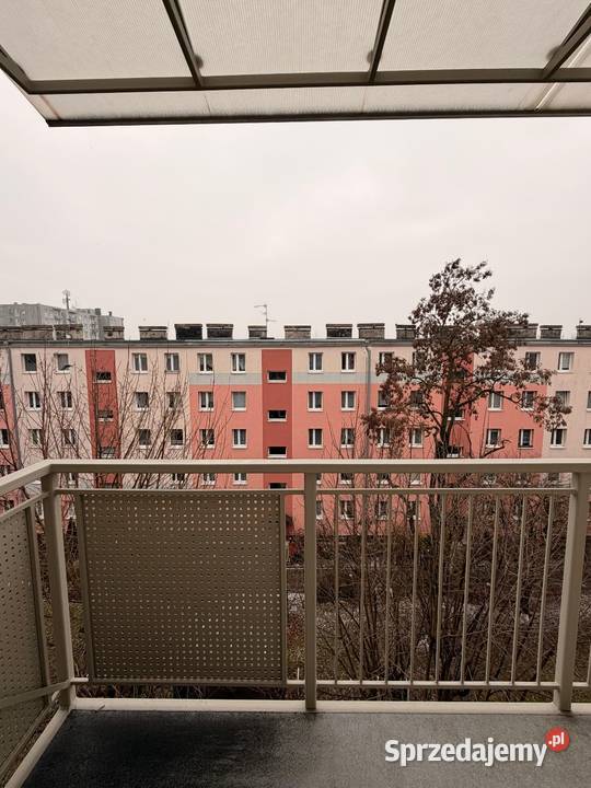 Sprzedam mieszkanie Opole Zwycięstwa piwnica opolskie