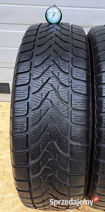 Opony Zimowe Lassa Competus Winter 2 21570 R16 16cale Samochodowe Mielęcin