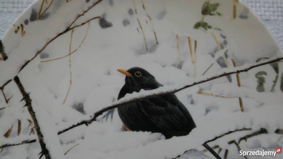 śliczny talerz kos zimowa scena Wegwood Winter inny kolor Wyposażenie wnętrz