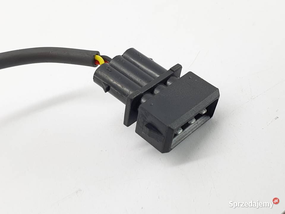 Cewka Fajka Benelli Bn 302 łódzkie Łódź