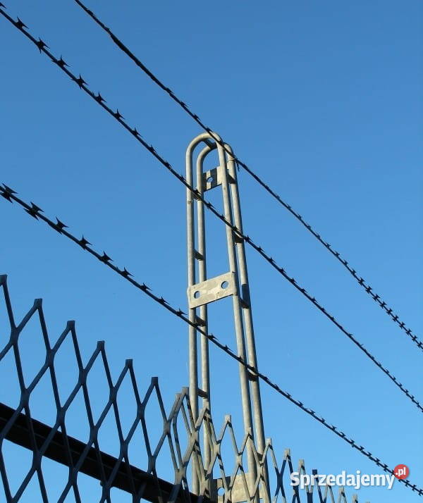 Drut ostrzowy żyletkowy ocynkowany prosty z Szczecin sprzedam