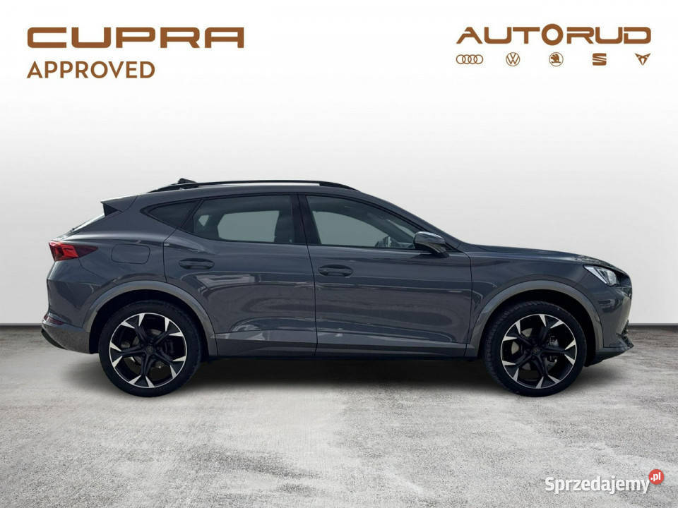 Cupra Formentor 15TSI 150 DSG 2024 Bezwypadkowy Formentor świętokrzyskie Kielce