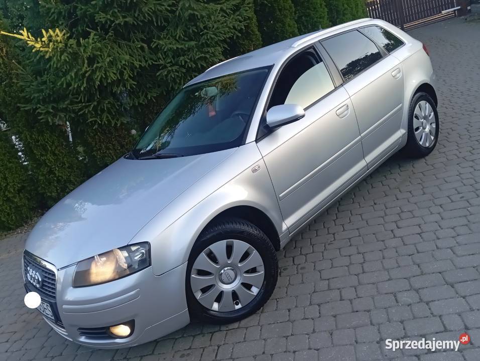 ŁADNA AUDI A3 20 TDI 5 DRZWI SPRAWNA ZAREJESTR Zarejestrowany w Polsce Gostynin