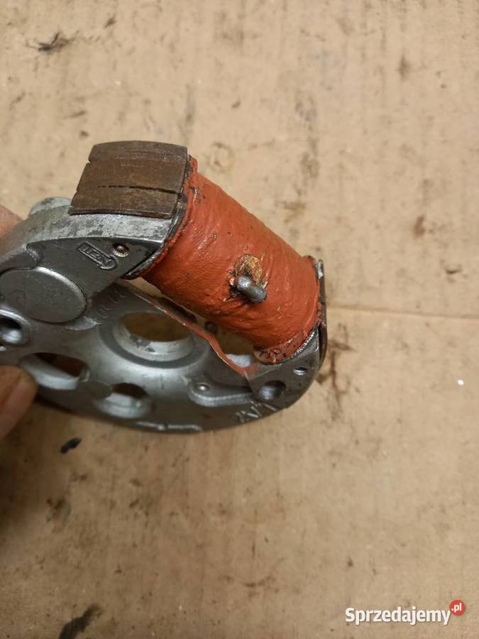 Iskrownik zak rys Pozostałe mazowieckie Sokołów Podlaski sprzedam