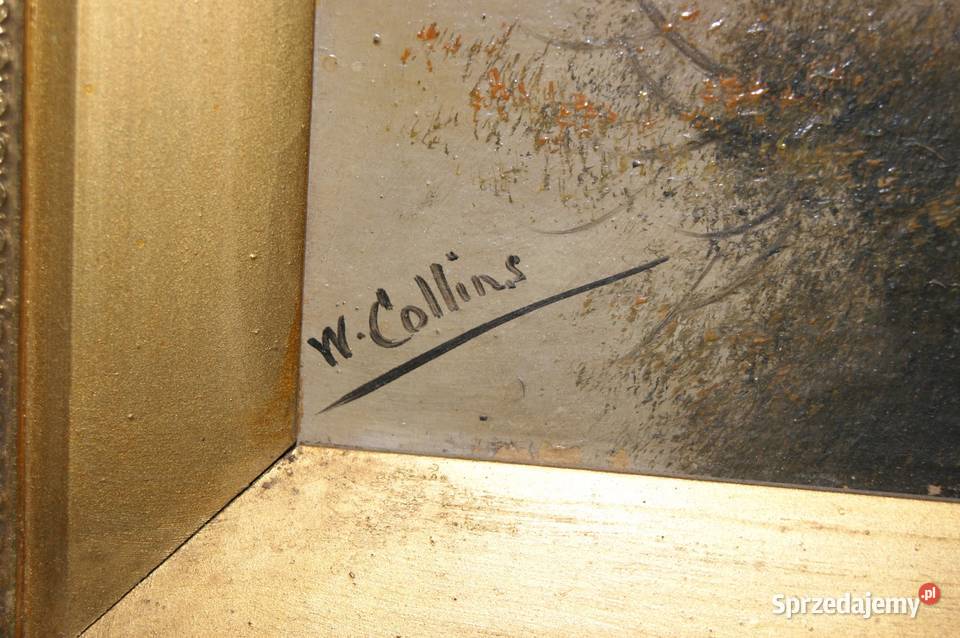William Collins UK 19 wiek dolnośląskie Polanica-Zdrój