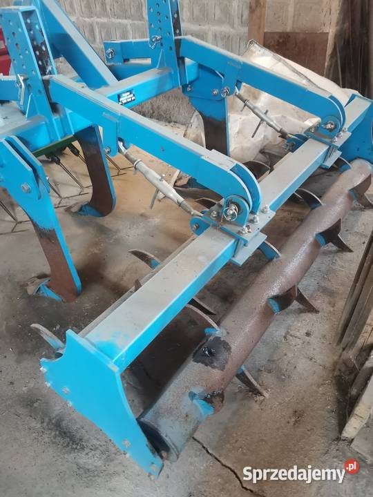 Głębosz 3 łapy Ciechocin sprzedam