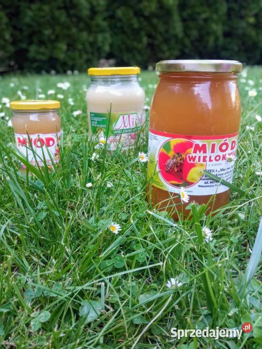 Miód wielokwiatowy z rejonów Lubelskich Mysłowice