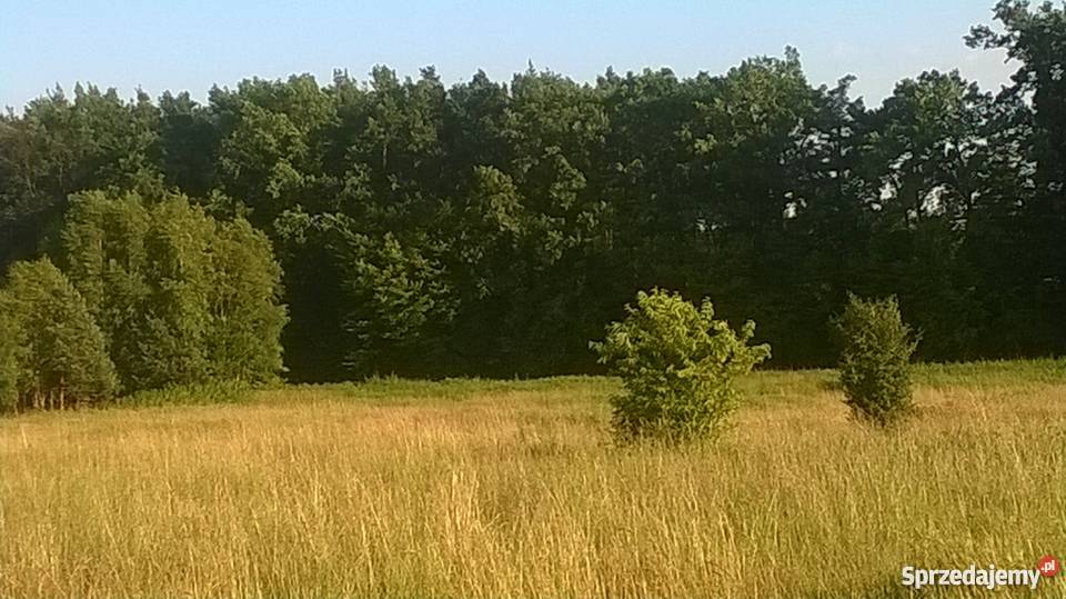 Działka Niepołomice Wola Batorska widok na Puszc prąd Wola Batorska sprzedam