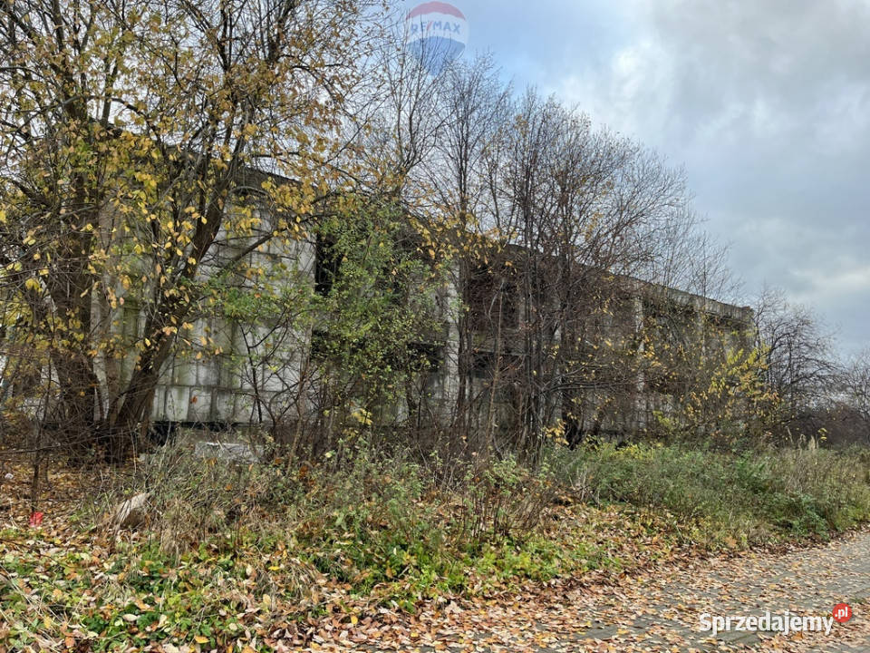 Działka inwestycyjna w Bezledach Sprzedaż