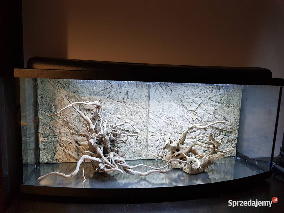Akwarium panoramiczne 210 l, tło strukturalne,  Led + filtr Fluval 407