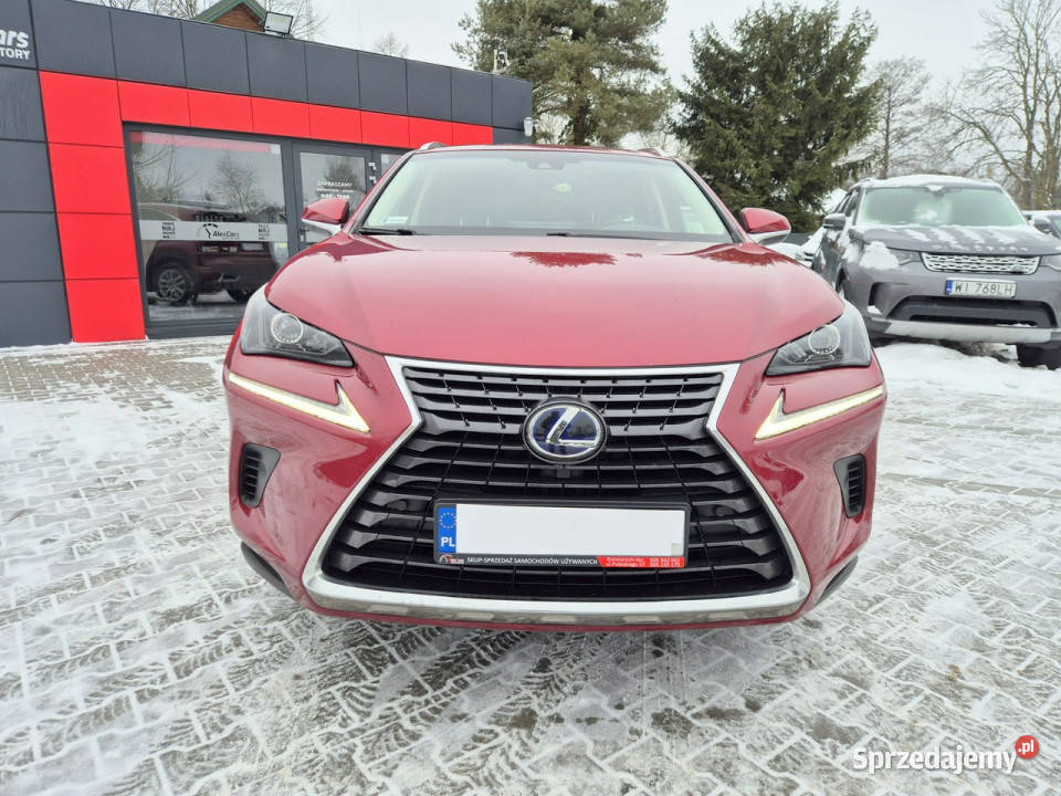 Lexus NX Bezwypadkowy I 20142021