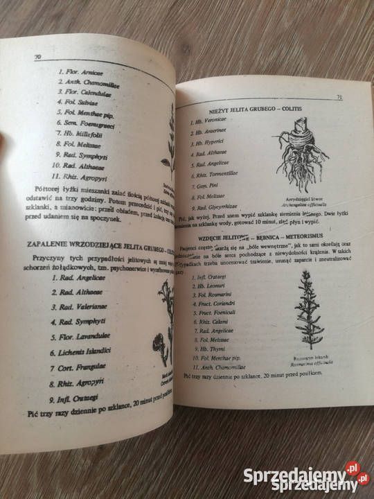 Ziołolecznictwo Klimuszko zdrowie, pierwsza pomoc Bądkowo