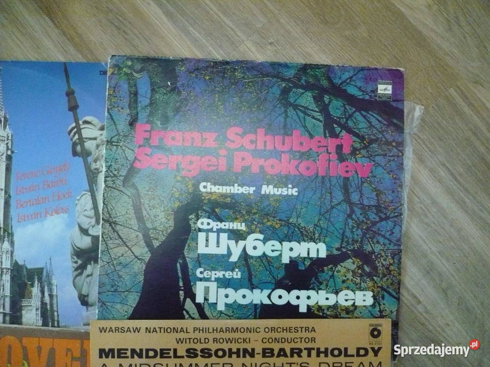 Płyty Winylowe dolnośląskie Wałbrzych