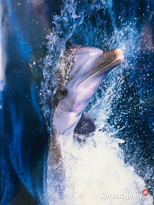 NOWY Album na zdjęcia 14x11 Łódź