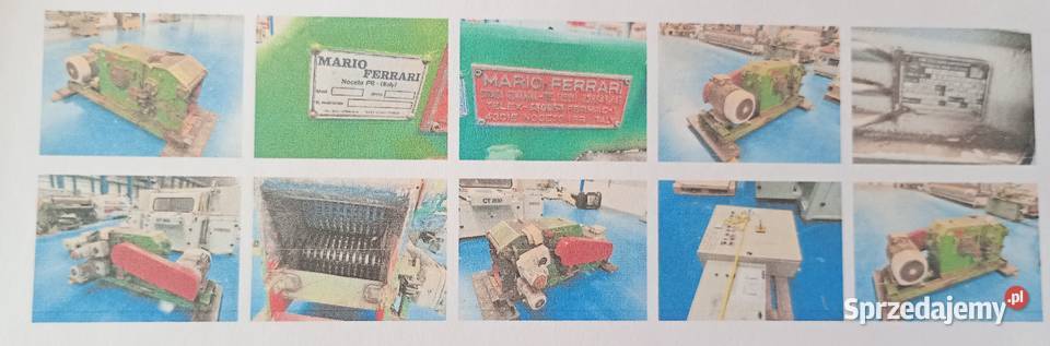 Rębak do zrzyny Mario Ferrari Pozostałe Wejherowo sprzedam