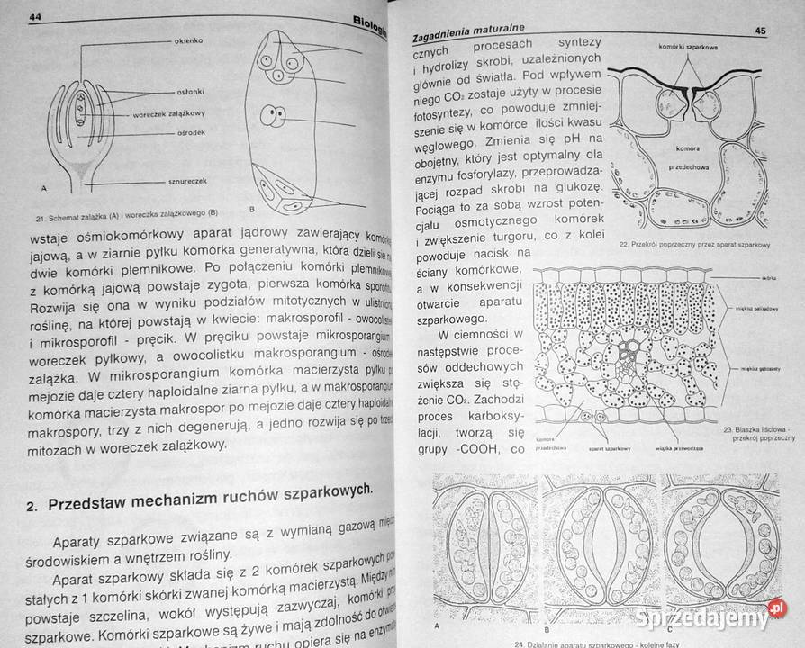 Matura z biologii Agnieszka Cerańska Chełm