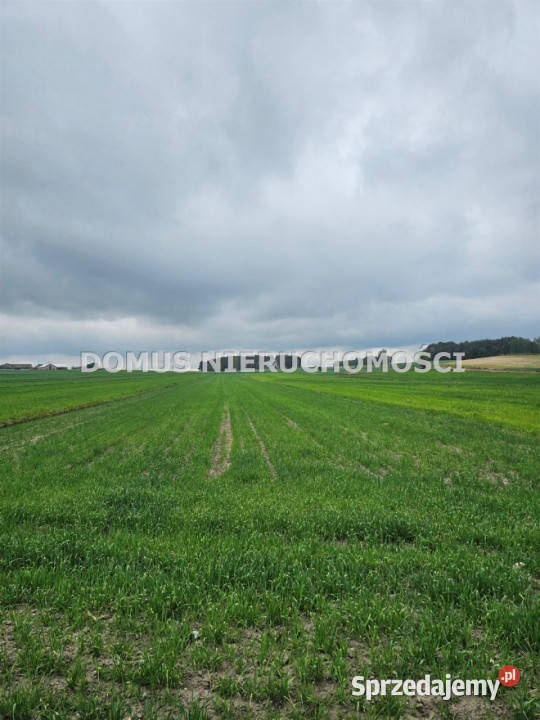 Do sprzedaży działka 4700m2 Chociszew łódzkie sprzedam