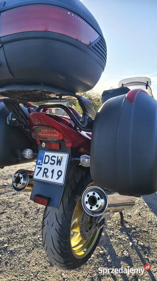 Honda CBR 1100 XX Superblackbird 1997 Świebodzice
