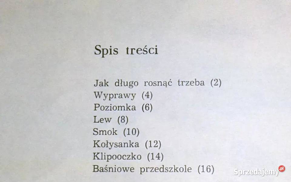 Baśniowe Przedszkole Bogdan Chorążuk lubelskie Chełm sprzedam