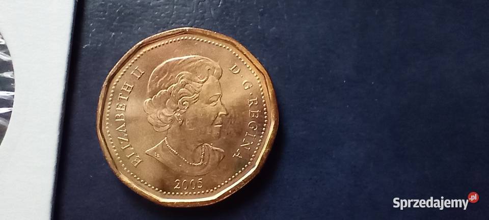 Stare monety 1 dolar 2005 Kanada Lesko