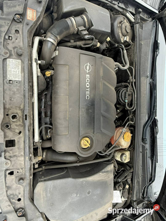 Opel Signum AUTOMAT Poznań