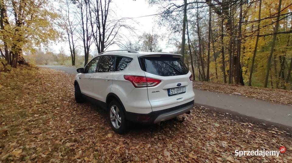 Ford Kuga 20 163 śląskie Bełk