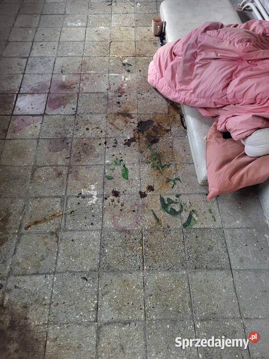 Dezynfekcja i sprzątanie zgonach Pieniężno