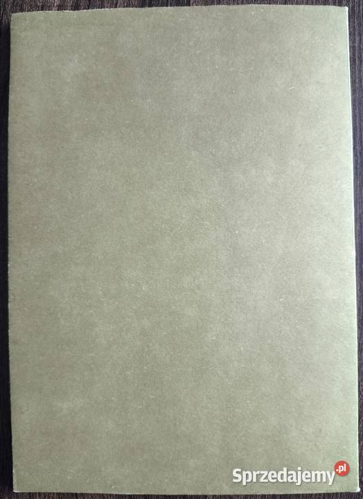 Tajemnice ksiąg rękopiśmiennych Bogdan Horodyski Warszawa