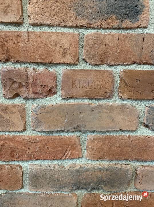 Płytki ceglane Lico Kujawskie główki Dom i Ogród mazowieckie