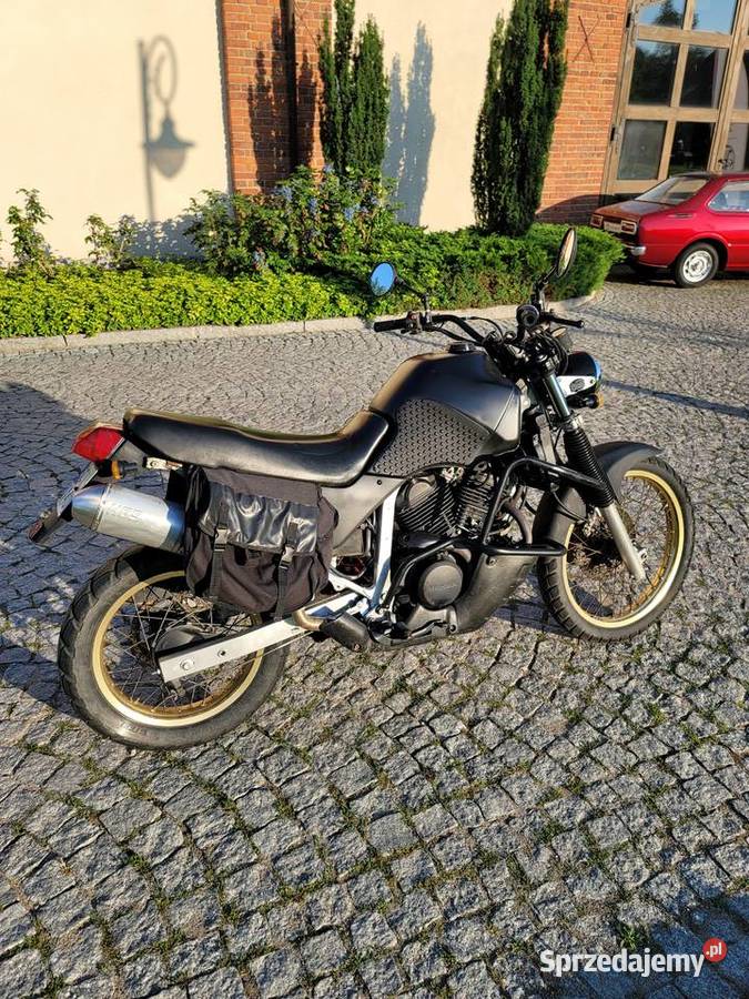 Transalp 600 1997 custom scrambler