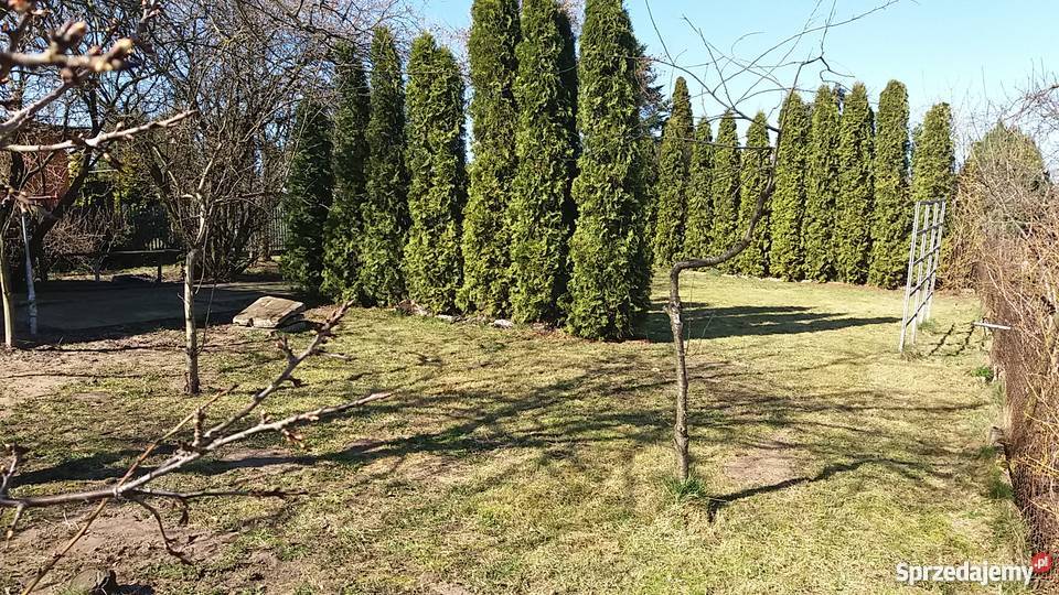 Sprzedam ogródek działkowy wielkopolskie Szamotuły