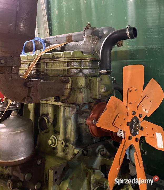 Silnik MTZ D242 80 Pozostałe Szklarnia