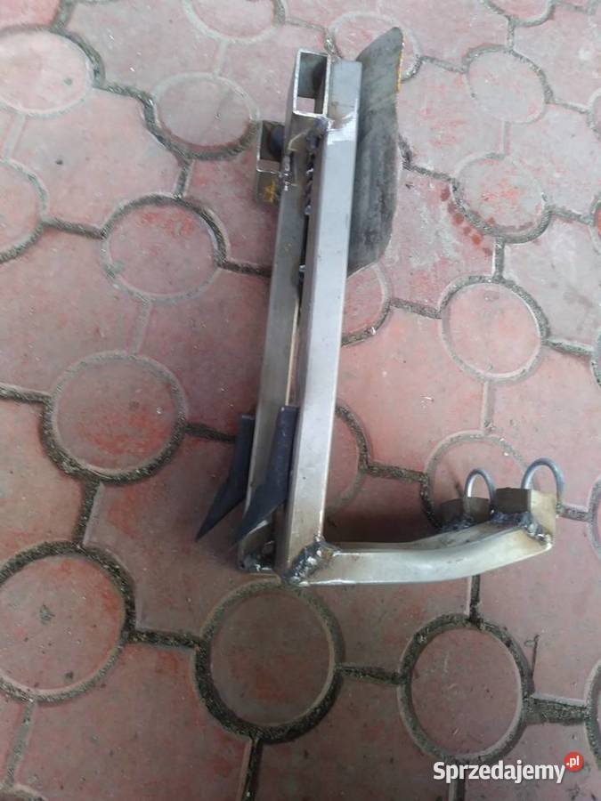 Drzewołazy nowe kolce