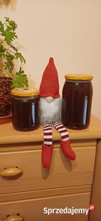 Miód z własnej pasieki Pszczelarstwo Lublin