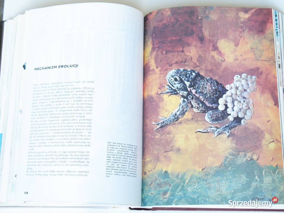 Larousse Ziemia Rośliny Zwierzęta Kraków