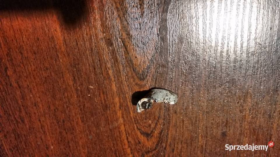 solo 644 łapacz łańcucha 2446 podkarpackie Stalowa Wola sprzedam