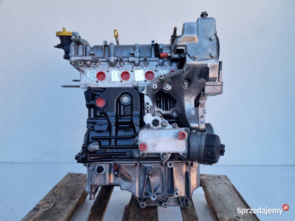 SILNIK REGENERACJI Fiat Bravo II 16 MJ MULTIJET Rudka