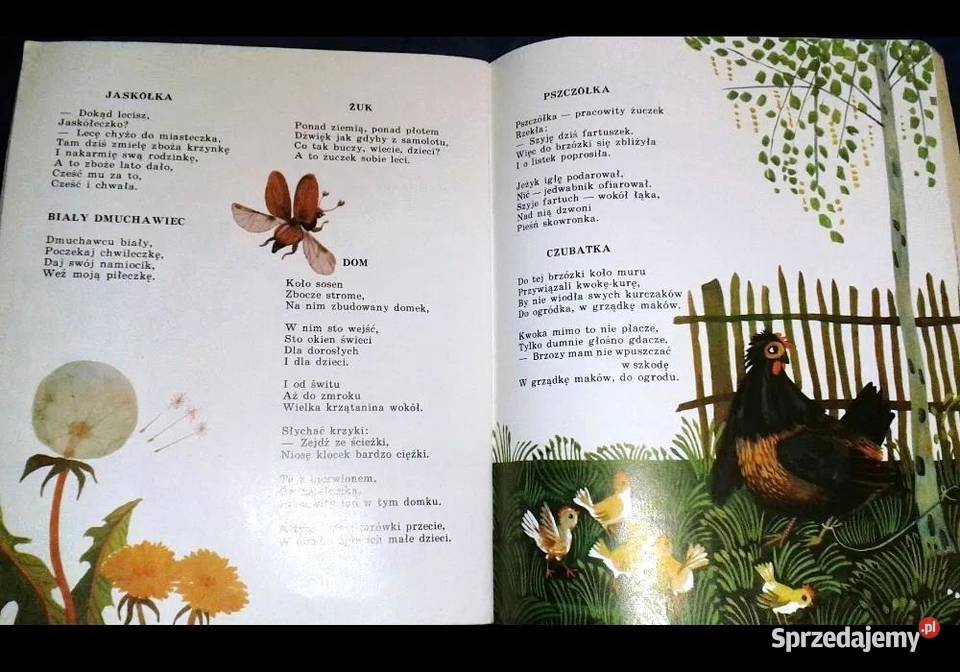 W słonku Aleksiej Pysin lubelskie Chełm