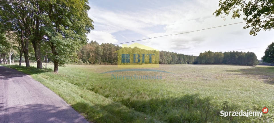 Działka rolna 342 ha ładne położenie zachodniopomorskie Stare Gonne