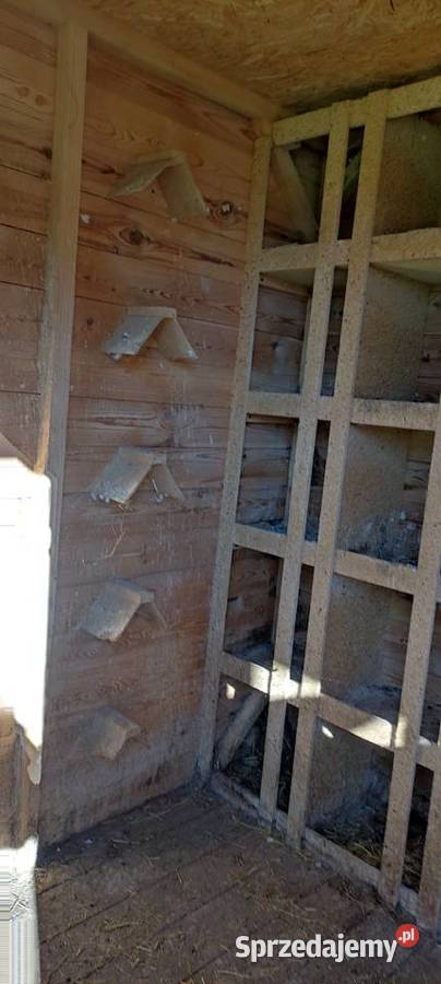 Sprzedam Gołębnik Żuków