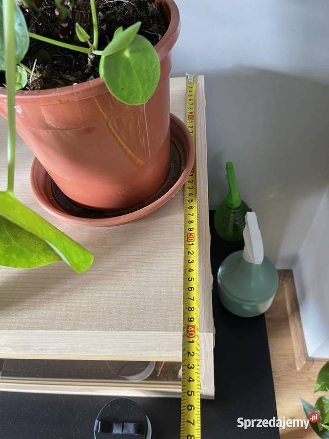 Drewniane terrarium wężajaszczurki Łobzów