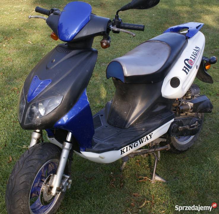 Kingway Hooligan lubelskie Kumów Majoracki sprzedam