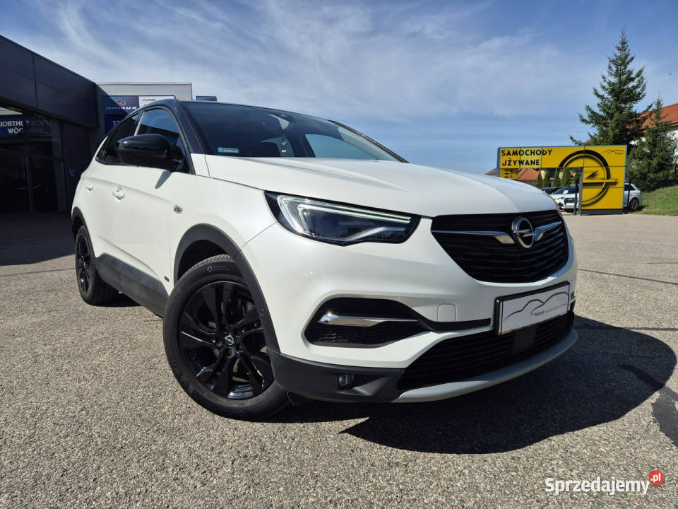Opel Grandland X Opel Grandland X Design Line 16 wspomaganie kierownicy Grandland X Giżycko