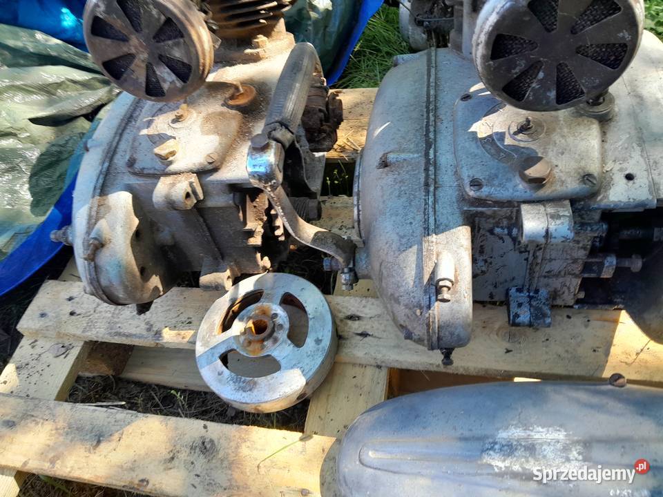 Silnik pannonia 2 sztuki dolnośląskie Świerzawa sprzedam