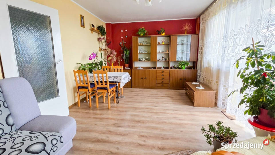 Mieszkanie Kościerzyn 50m2 2 pokoje Nieruchomości